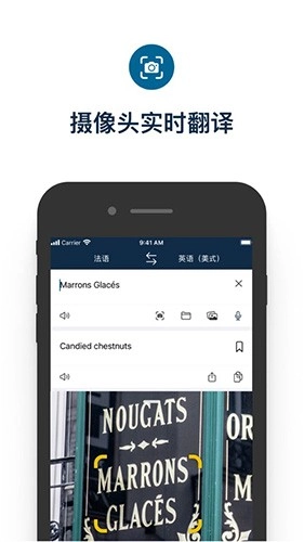 deepl在线翻译原版图3