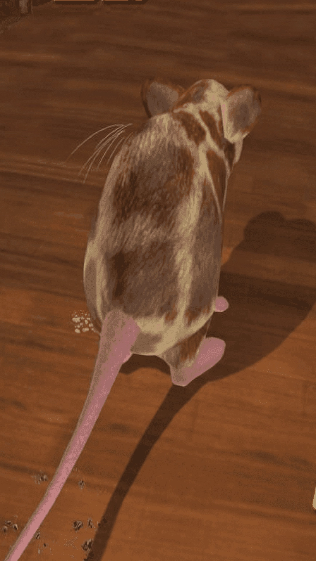 老鼠在家模拟3D安卓版图3