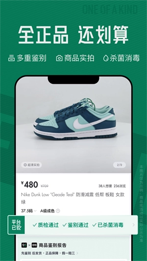 95分 原版图1