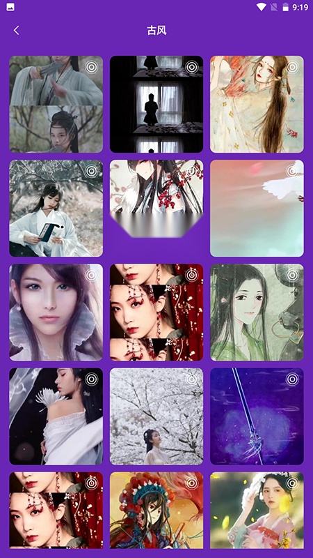 wallpaper壁纸-图2