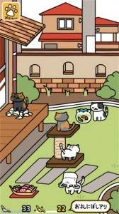 猫咪后院2最新免费版图4