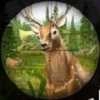 猎鹿20(Animal Hunter)