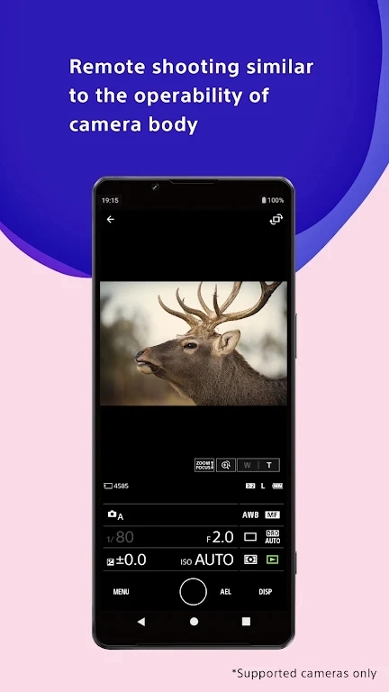 creators 官方正版图2