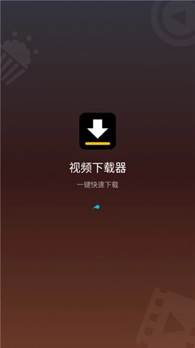 VideoDownloader 正版图1
