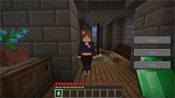 珍妮冒险1.9.0魅魔模组