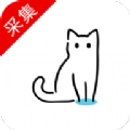 猫影视 直装版