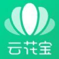 云花宝鲜花采购