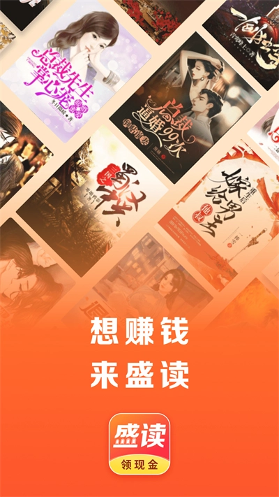 盛读小说 安卓免费版图3