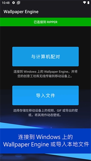 Wallpaper Engine最新版图3