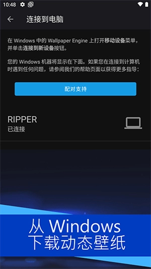 Wallpaper Engine最新版图2