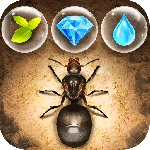 小小蚁国小米渠道服