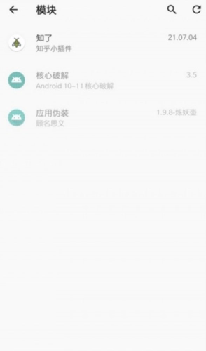 LSPosed 最新免费版图2