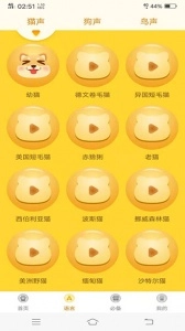 宠物翻译器截图2