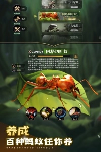 小小蚁国小米渠道服1