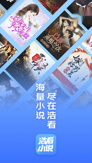 浩看小说 1