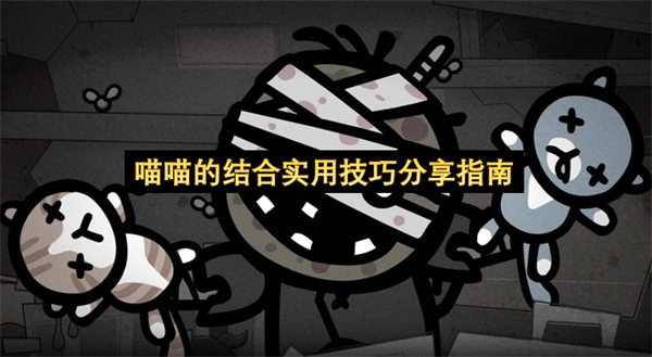 喵喵的结合实用技巧分享指南
