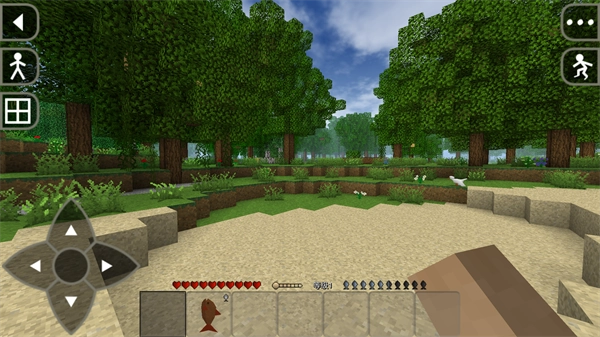 生存战争中文-图1