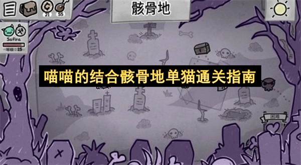 骸骨地单猫通关指南：喵喵的实战心得