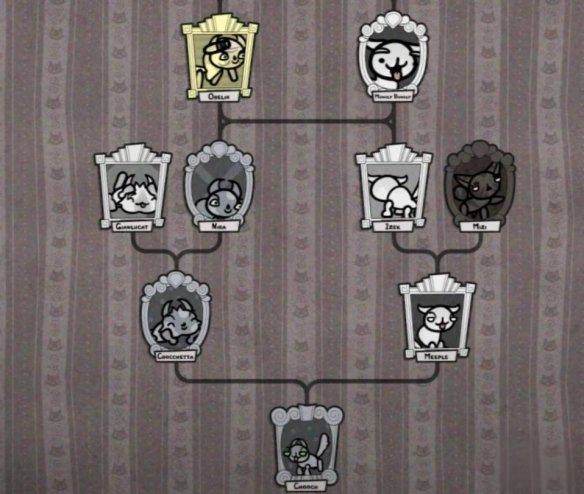 喵喵结合时怎样才能避开近亲繁殖的问题？