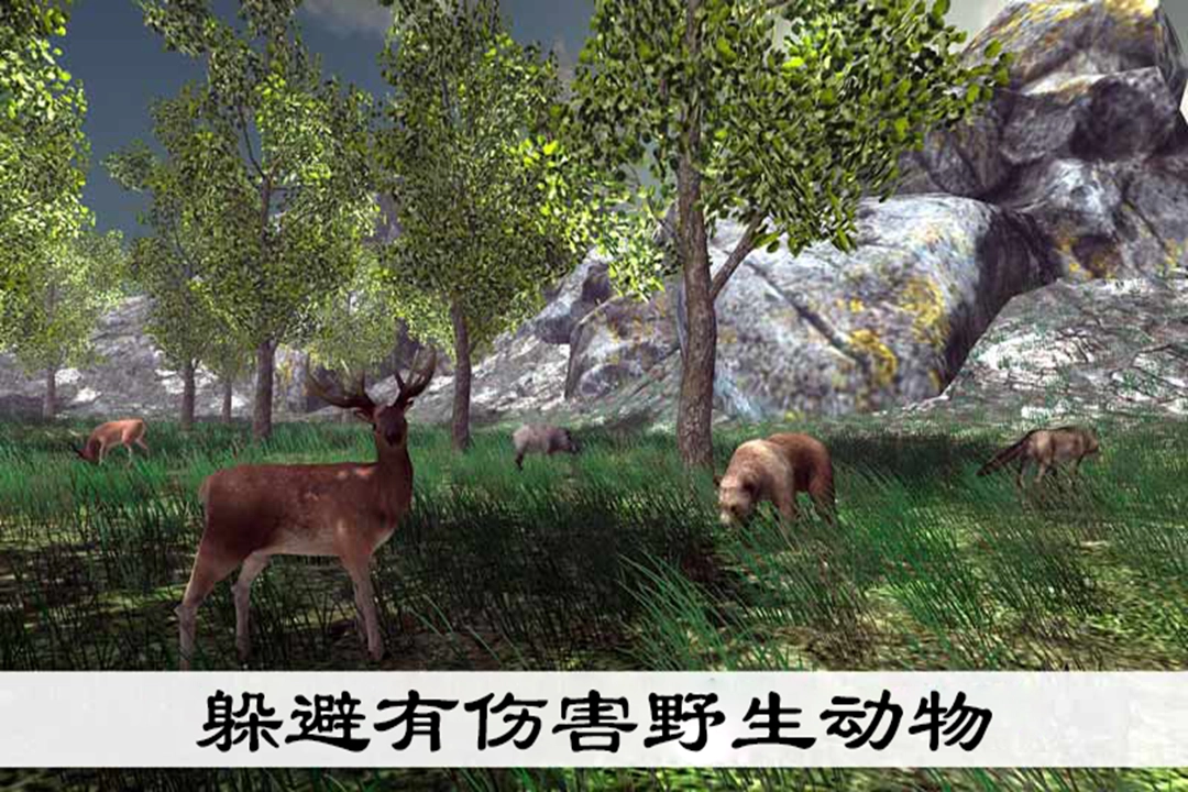 真实采集蘑菇模拟器安卓直装版图4