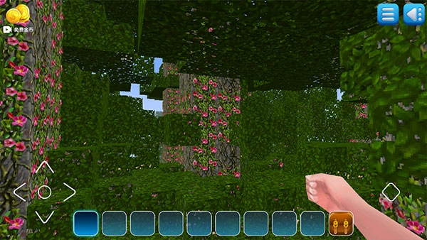 我的小小世界2最新版(3)