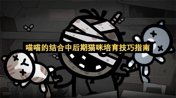 喵喵结合后期与中期阶段的猫咪培育实用技巧