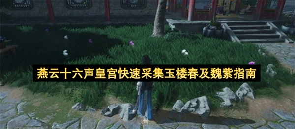 燕云十六声皇宫快速获取玉楼春和魏紫的方法指南