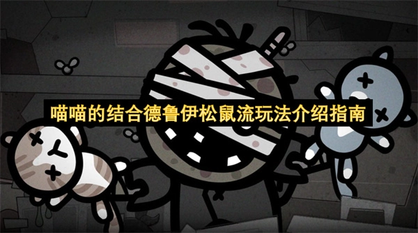 德鲁伊松鼠流与喵喵机制结合的玩法指南
