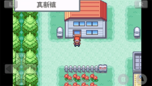 口袋妖怪火红gba版(2)
