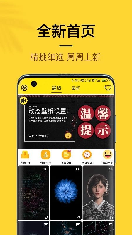 橙子4D动态壁纸(4)