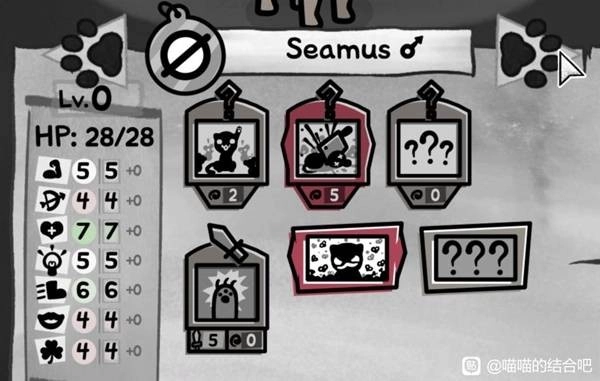 喵喵与苍蝇挤爆流组合的玩法构建指南