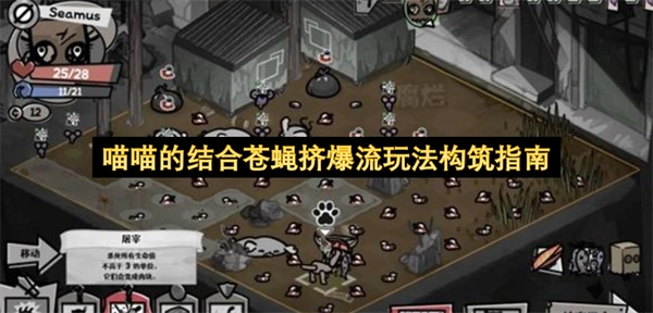 喵喵与苍蝇挤爆流组合的玩法构建指南