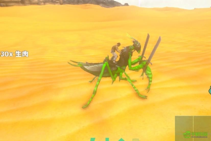 方舟生存进化里螳螂坐骑的驯服方法