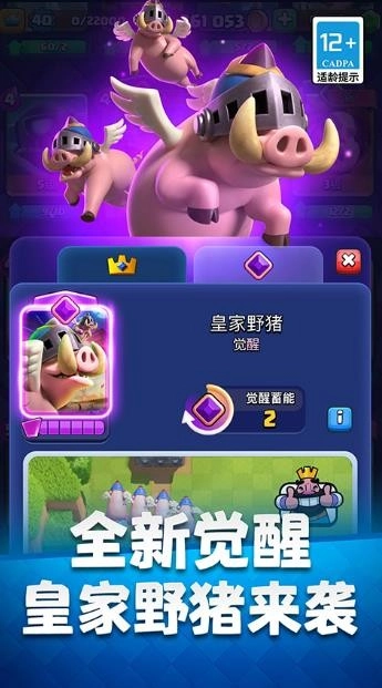 皇室战争国际版(1)