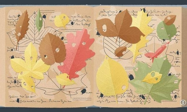 往左一点看星星拓展版图1