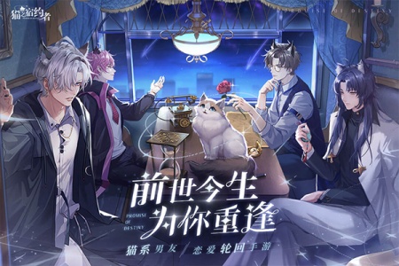 猫之宿约者小米版图1