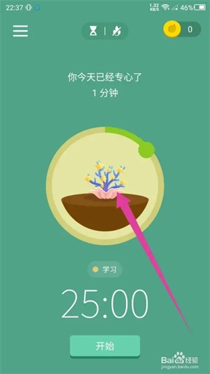 Forest最新版安卓下載