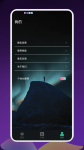 录音专家(4)