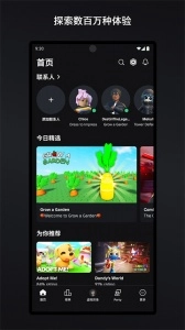 罗布乐思正版