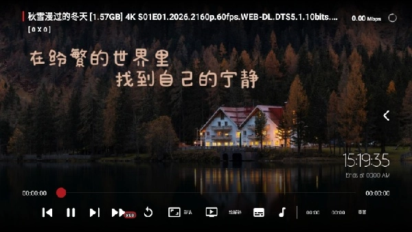 爽看TV安卓直装版图3