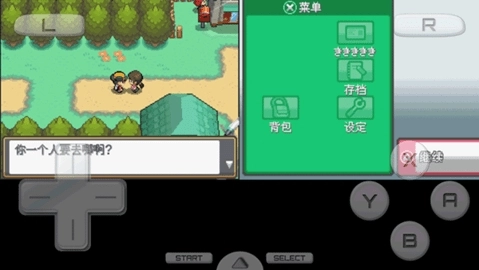 口袋妖怪心金中文版3