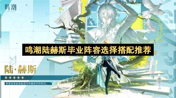 鸣潮陆赫斯毕业阵容搭配推荐及选择建议