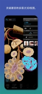 2026人体解剖学图谱图2