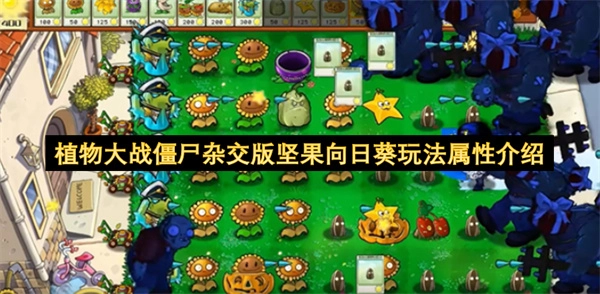 植物大战僵尸杂交版里坚果向日葵的玩法与属性说明