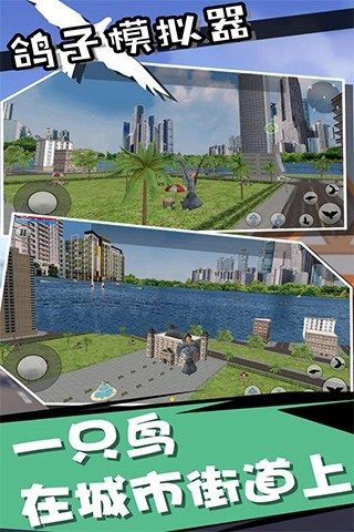 鸽子模拟器2图4