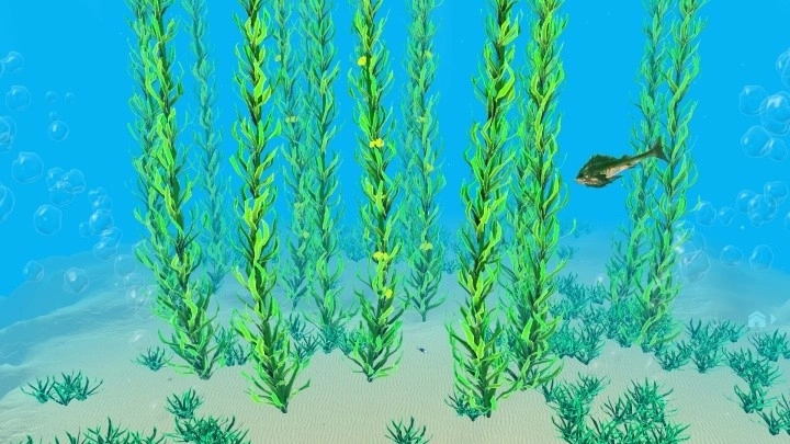 水下生存深潜安装截图2