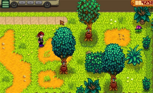 《星露谷物语》食用油制作步骤详解