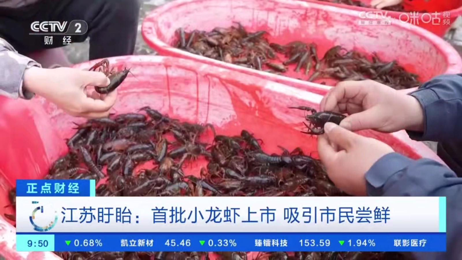 星火電視TV安裝下載