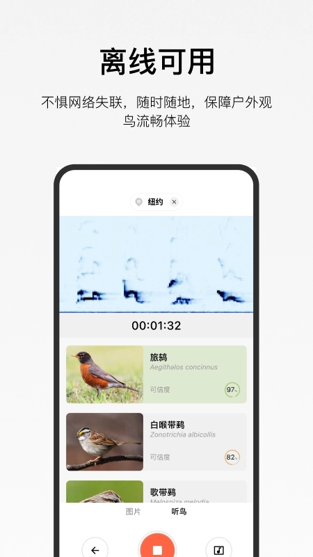 懂鳥免費截圖0