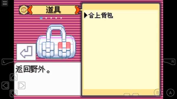 口袋妖怪究极绿宝石免费版图2